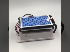 Nhà sản xuất chứng nhận CE máy phát ozone mới 10g tấm gốm kép tuổi thọ dài các bộ phận ozone