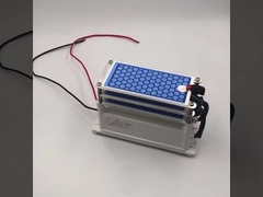 AC 220V 15g/hr mảng ozone gốm cho máy khử trùng ozone