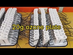 20g 8pcs Ozone Plate Gap Discharge Ceramic Ozone Generator được lắp ráp
